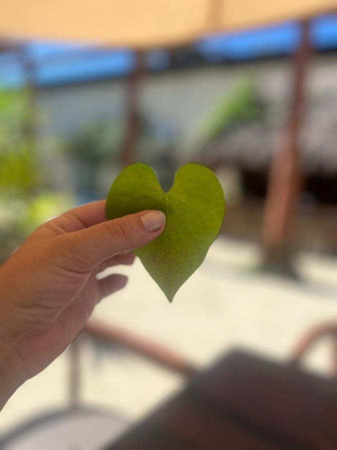 The All Inclusive Hostel - Food, Drinks And Transportation To The Beach And Cenotes Tulum Zewnętrze zdjęcie