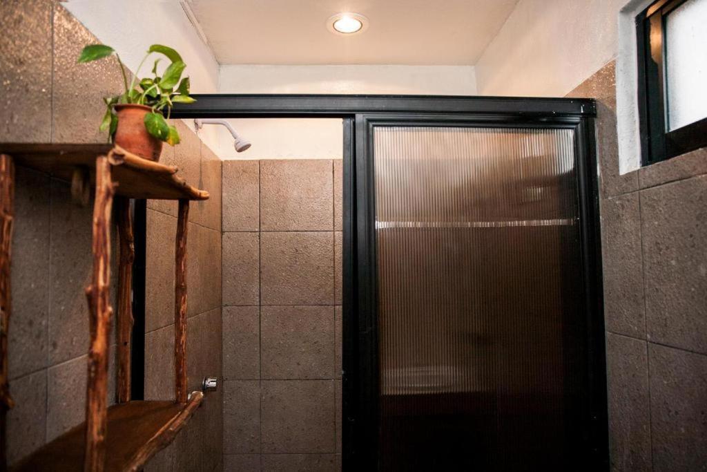 The All Inclusive Hostel - Food, Drinks And Transportation To The Beach And Cenotes Tulum Zewnętrze zdjęcie